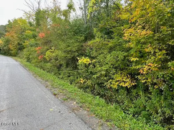 L24.2 Goewey Road, Charleston, NY 12072