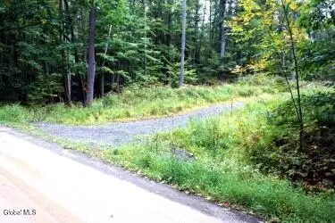 L30.4 Old Gale Hill Road, East Chatham, NY 12060 - #1