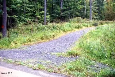 L30.4 Old Gale Hill Road, East Chatham, NY 12060 - #2