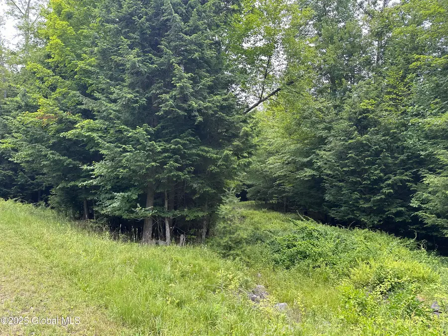 2 Diamond Ridge Road, Diamond Point, NY 12824 - #2