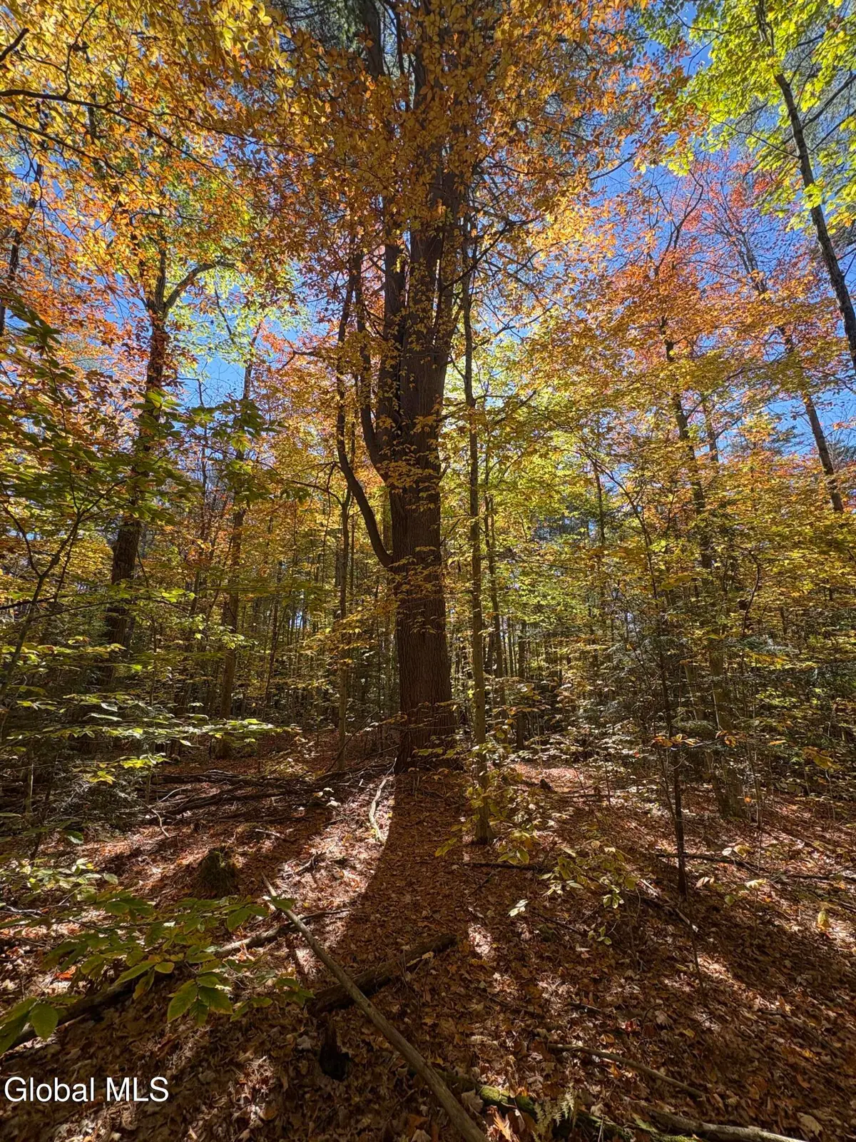 L4 Beartown, Lake Luzerne, NY 12846 - #1