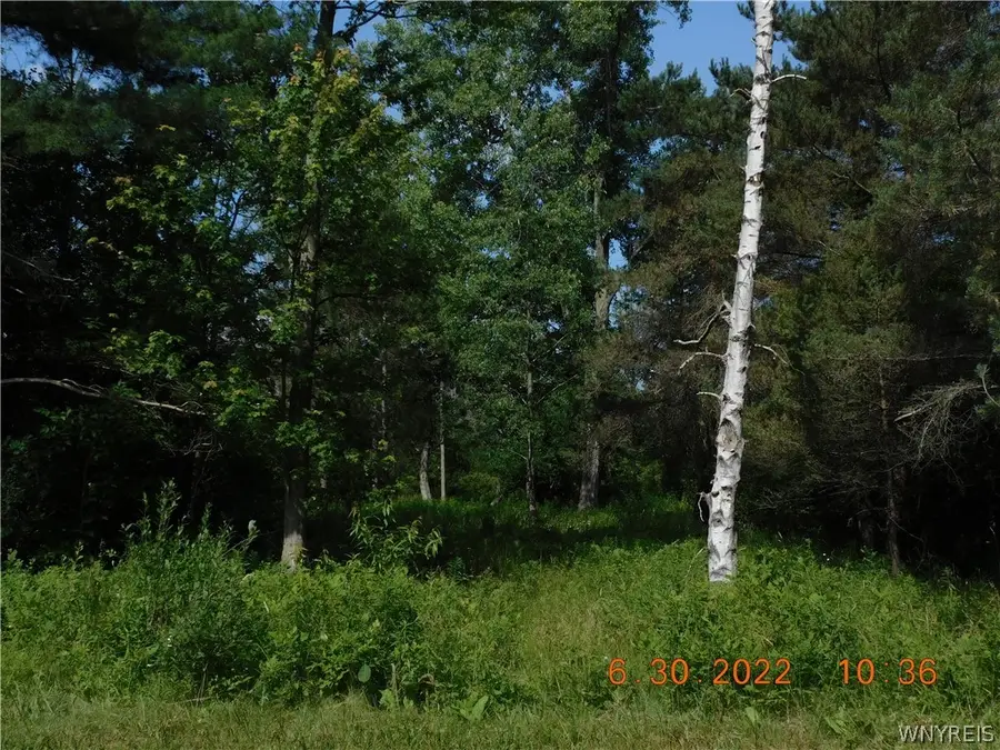 7692 Decker Road, Derby, NY 14047 - Image #2