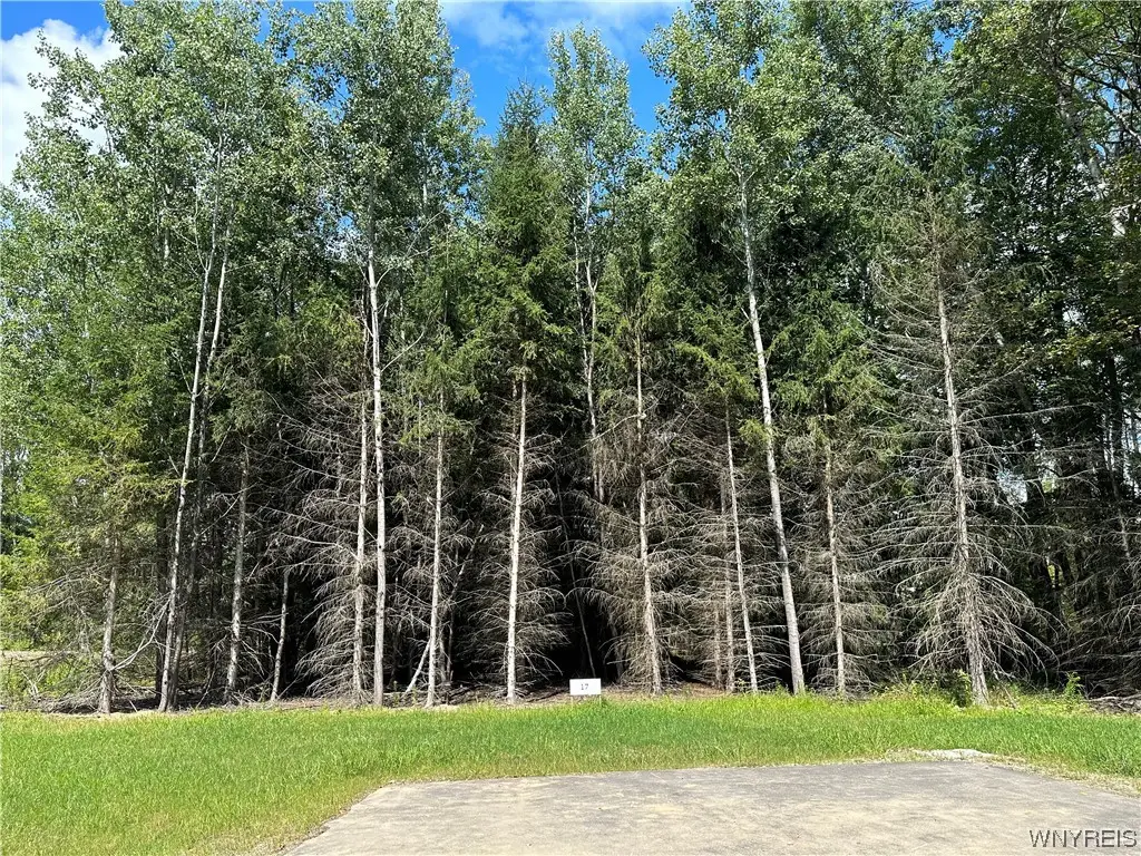 Lot 17 Tanglewood Development, Allegany, NY 14706 - Image #1