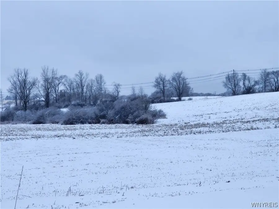 0 Waverly Street, Springville, NY 14141 - Image #2