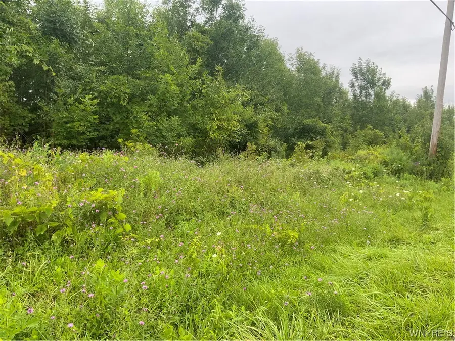 00 Gravel Road N, Medina, NY 14103 - Image #2