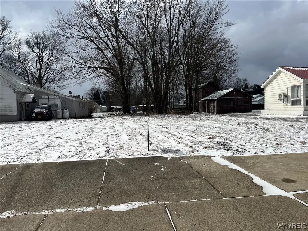 217 Pine Street, South Dayton, NY 14138 - Image #1