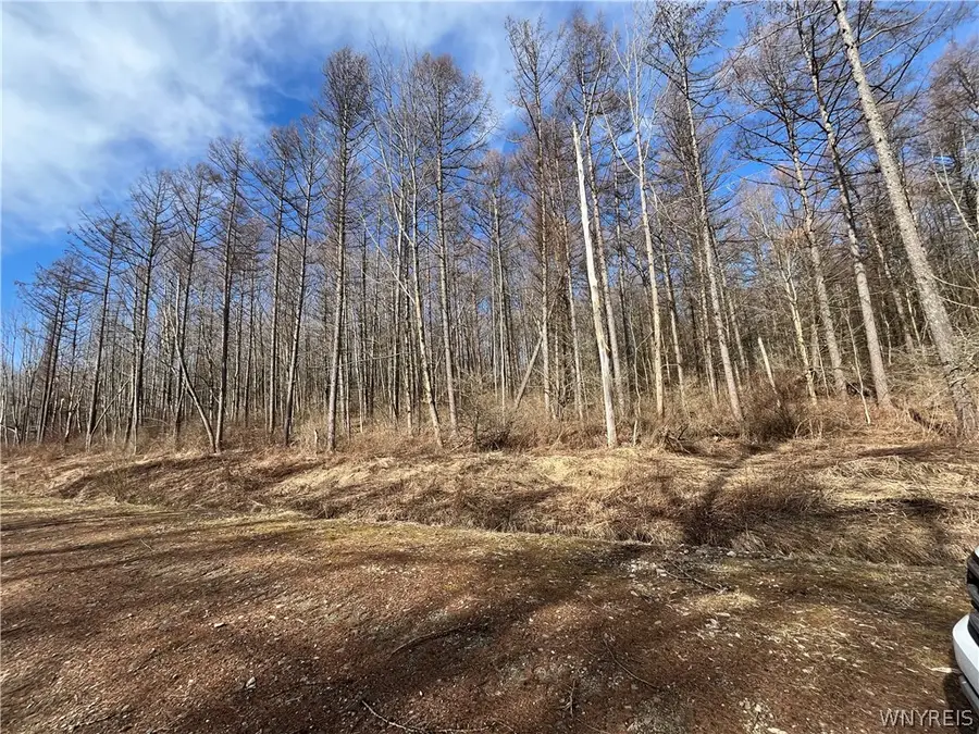 TBB Lot #1 42 Degrees North, Ellicottville, NY 14731 - Image #3