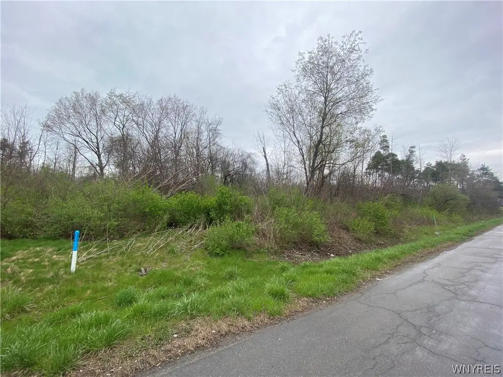 VL Lake Shore Road, Lake View, NY 14085 - Image #1