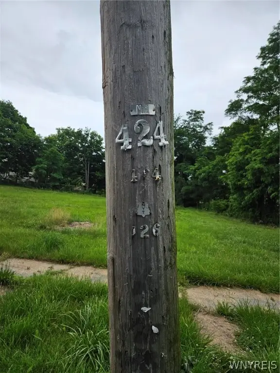 422 Hickory St Street, Buffalo, NY 14204 - Image #1