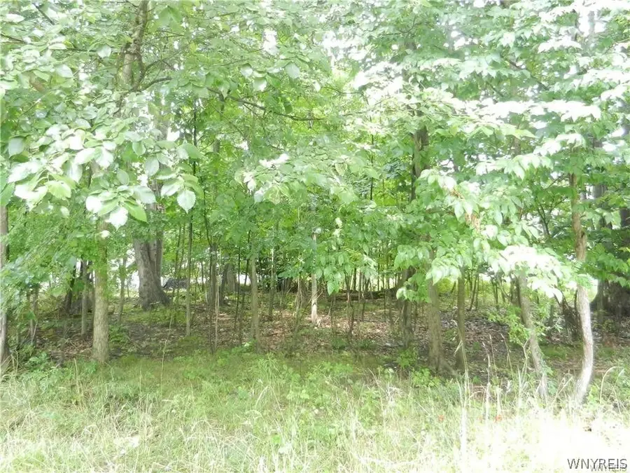 9815 Redwing Street, Angola, NY 14006 - Image #2