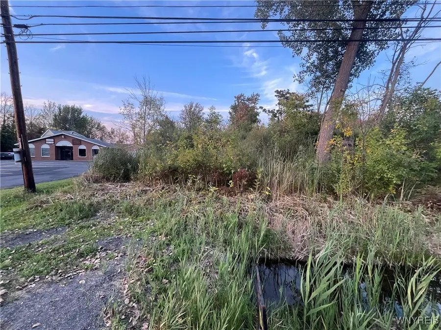 V/L Porter Road, Niagara Falls, NY 14304 - Image #2