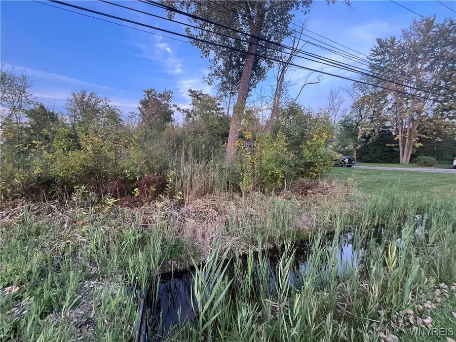 V/L Porter Road, Niagara Falls, NY 14304 - Image #3