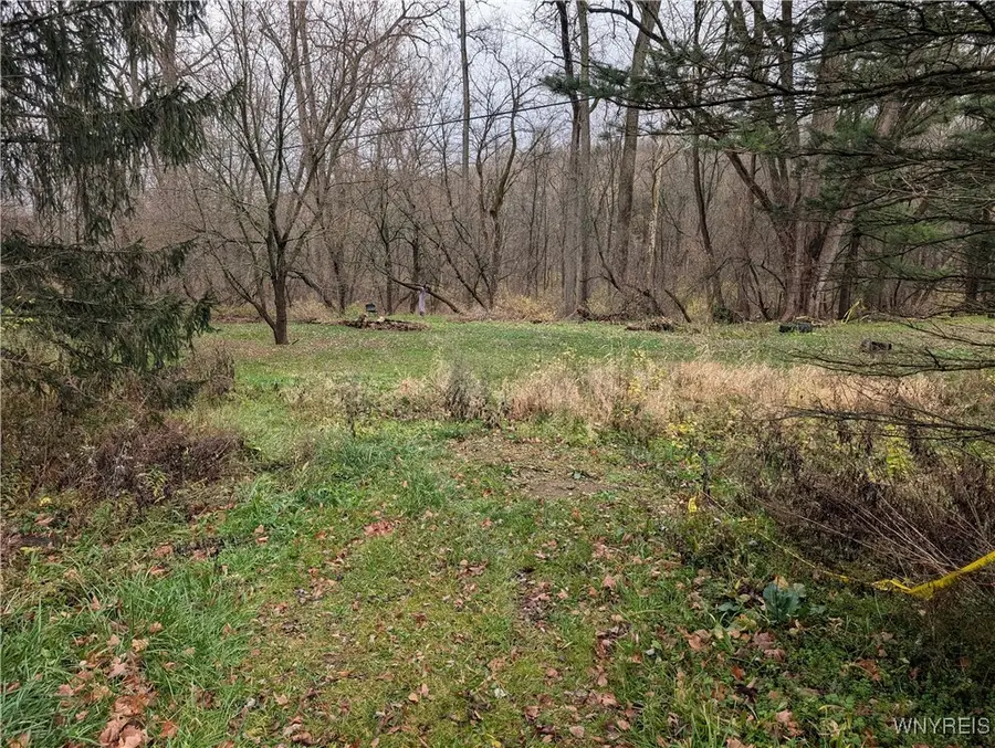 3825 Creek Road, Chaffee, NY 14030 - Image #2