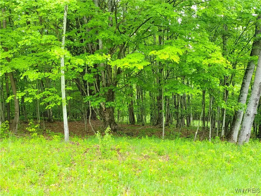 0 Cr-24- Lot 18, Swain, NY 14884 - Image #3