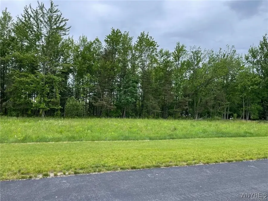 453 Pleasant View Drive, Lancaster, NY 14086 - Image #3