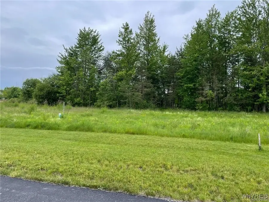 455 Pleasant View Drive, Lancaster, NY 14086 - Image #3