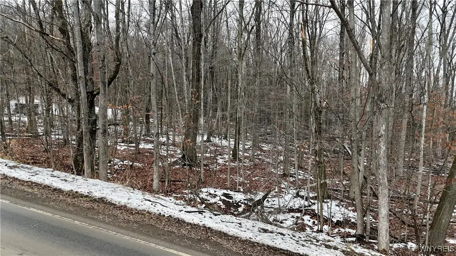 Cr-49, Caneadea, NY 14717 - Image #2