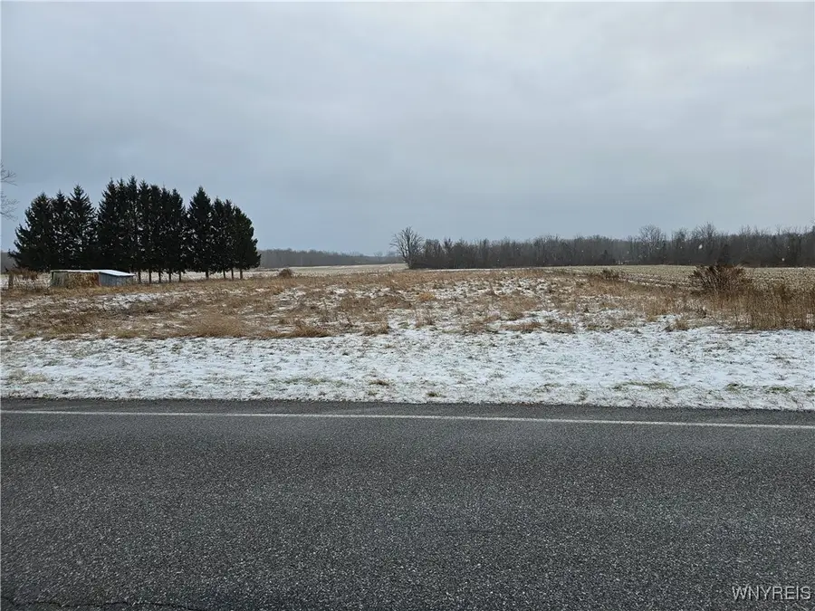 Steiner Road, Akron, NY 14001 - Image #2