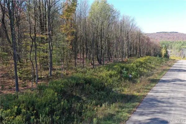 11 Trail Heights, Ellicottville, NY 14731