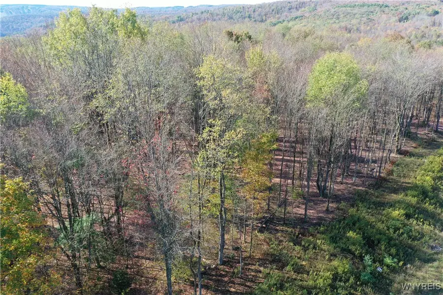 11 Trail Heights, Ellicottville, NY 14731 - Image #2