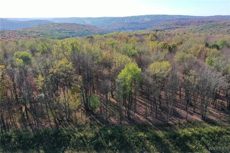 11 Trail Heights, Ellicottville, NY 14731 - Image #3