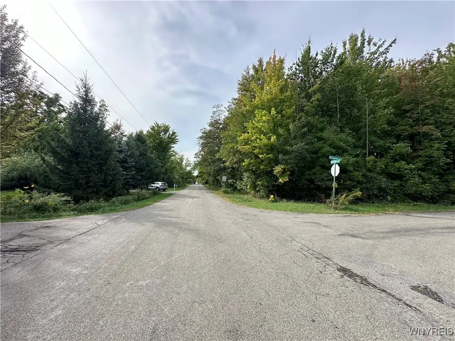 9528 Chippewa Street, Angola, NY 14006 - Image #3