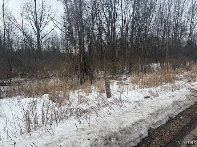 Gravel Road, Medina, NY 14103 - Image #2