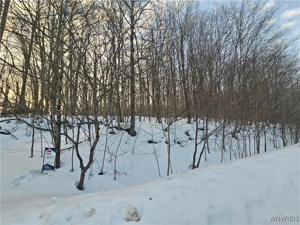 Dublin Terrace Road, Salamanca, NY 14779 - Image #1