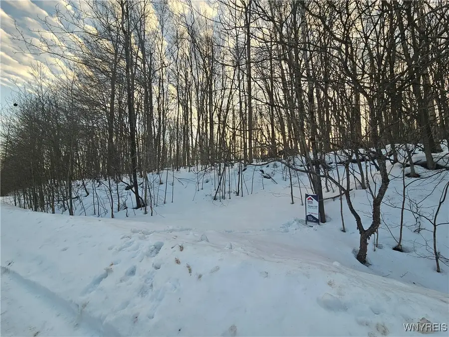 Dublin Terrace Road, Salamanca, NY 14779 - Image #3