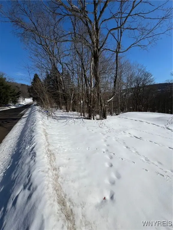 6887 Niles Road, Ellicottville, NY 14731 - #2