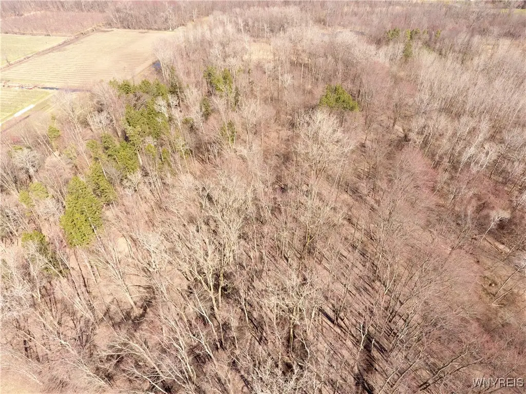 Murdock Road, Medina, NY 14103 - Image #1