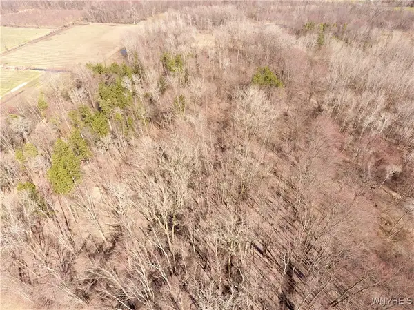 Murdock Road, Medina, NY 14103