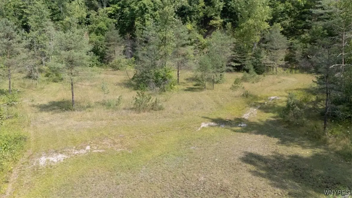 VL 20.2, 21, 23 Knapp Road, Colden, NY 14033 - Image #1