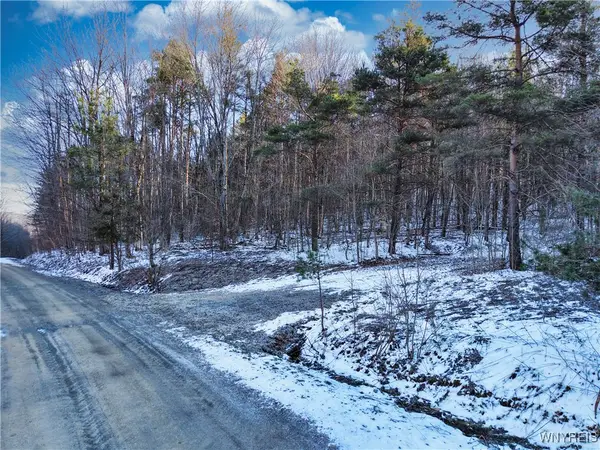 10 & 11 Creek Ridge Road, Ellicottville, NY 14731