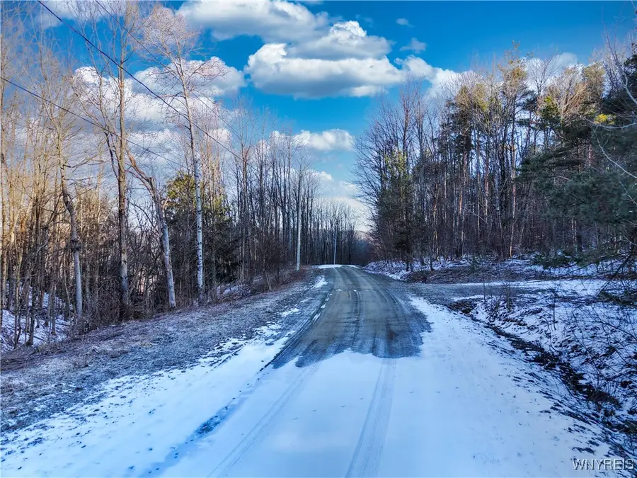 10 & 11 Creek Ridge Road, Ellicottville, NY 14731 - Image #2