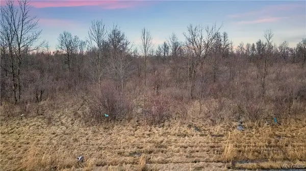 V/L Townline Road, Ransomville, NY 14131