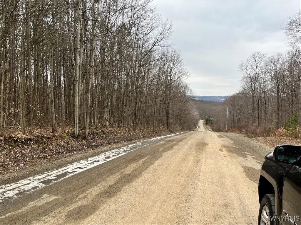 Cemetery Hill Road, Franklinville, NY 14737 - #1