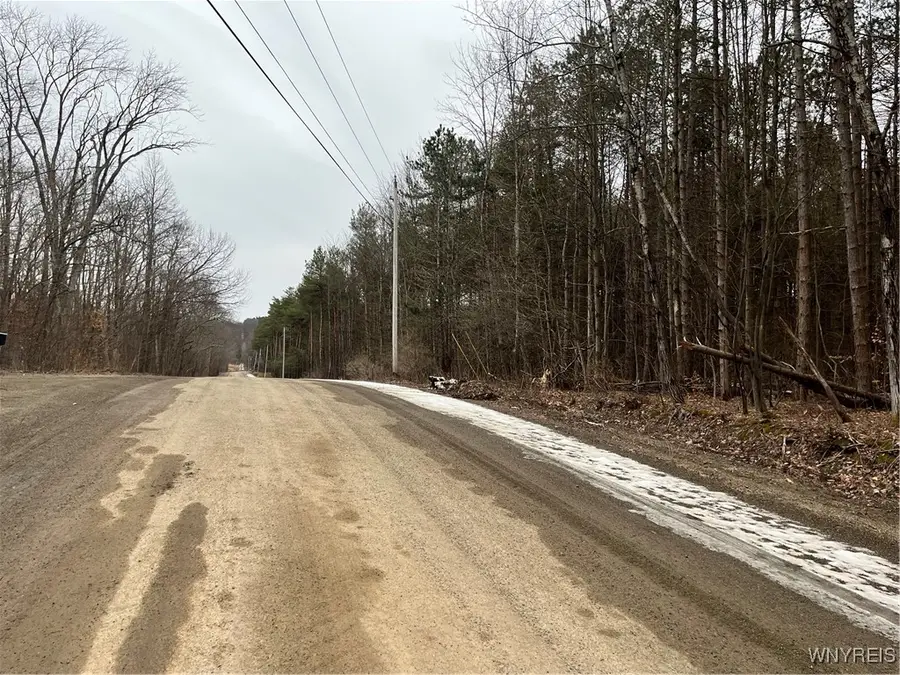 Cemetery Hill Road, Franklinville, NY 14737 - #2