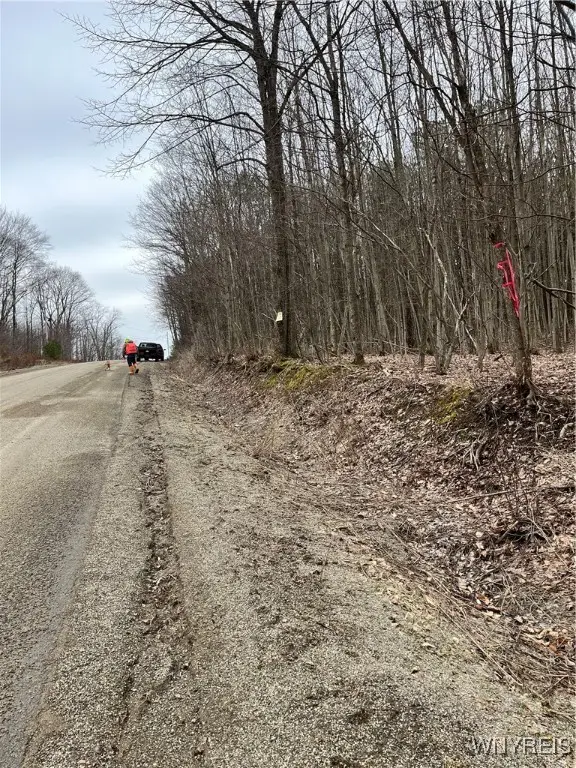 Cemetery Hill Road, Franklinville, NY 14737 - #3