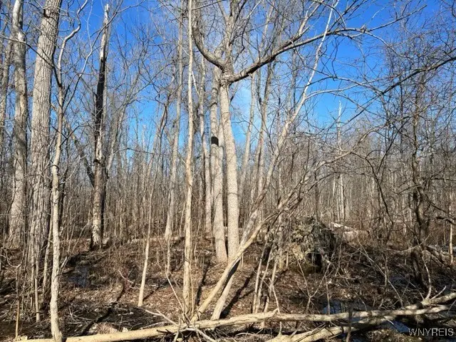 0 Wilson Avenue S, Lancaster, NY 14086 - Image #3