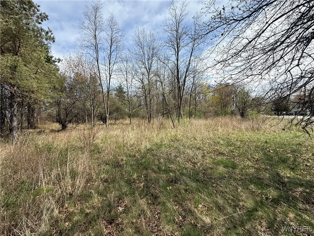 Braley Road, Youngstown, NY 14174 - Image #1