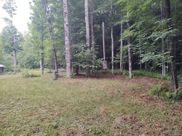 449 Wood Road, Jefferson, NY 12093