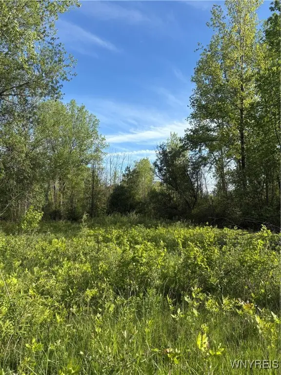 Genesee Street, Alden, NY 14004 - Image #2