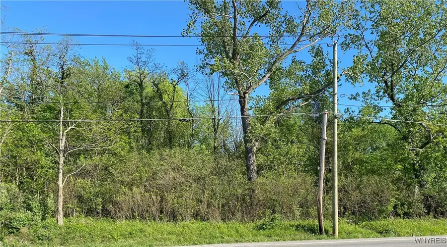 10669 Erie Road, Brant, NY 14027 - Image #2