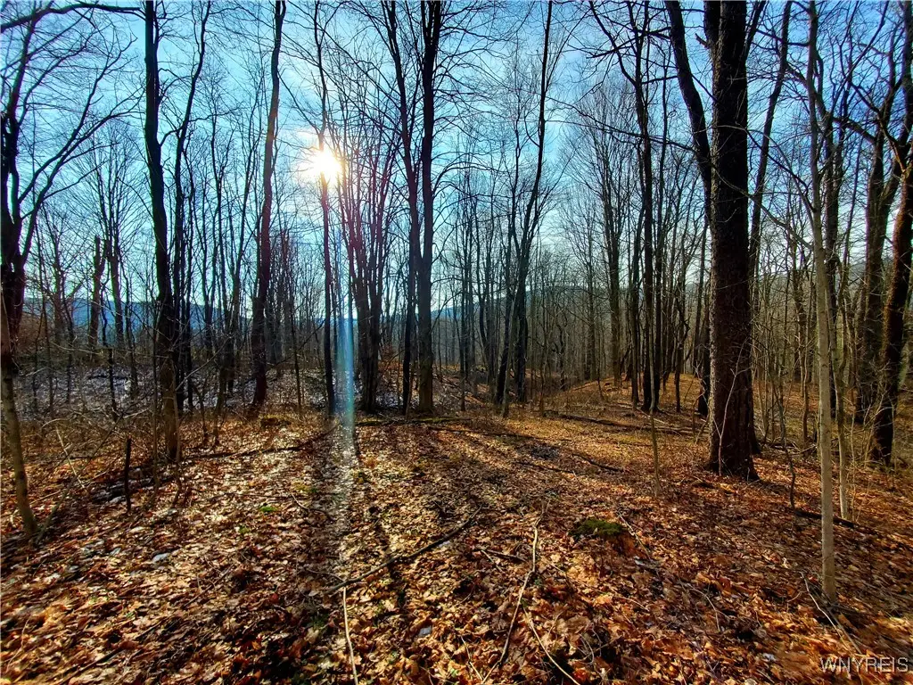 7200 Kent Road, Ellicottville, NY 14731 - Image #1