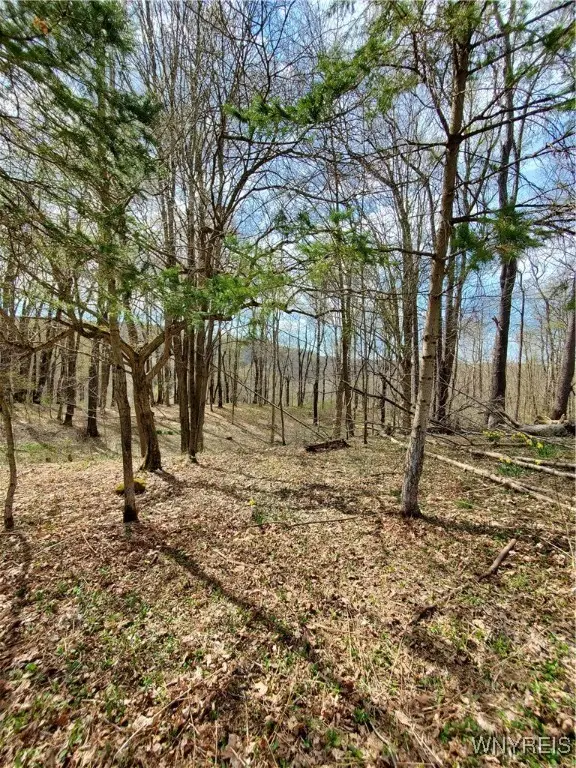 7200 Kent Road, Ellicottville, NY 14731 - Image #3