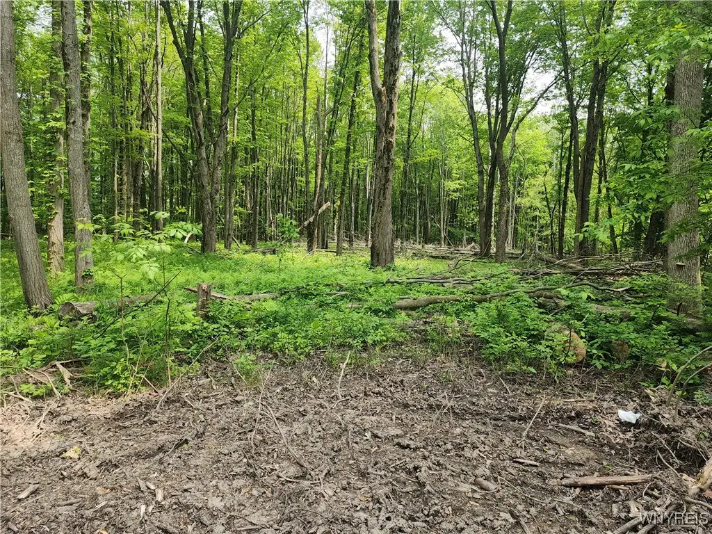 Lake Shore Road, Angola, NY 14006 - Image #1