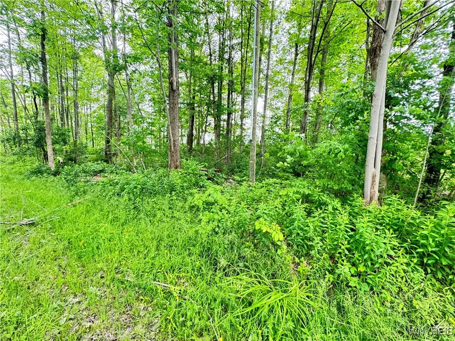 4371 Lawson Road, Jamestown, NY 14701 - Image #3