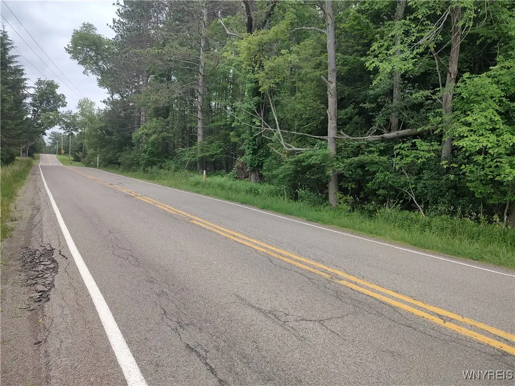 Trevett Road, Springville, NY 14141 - Image #1