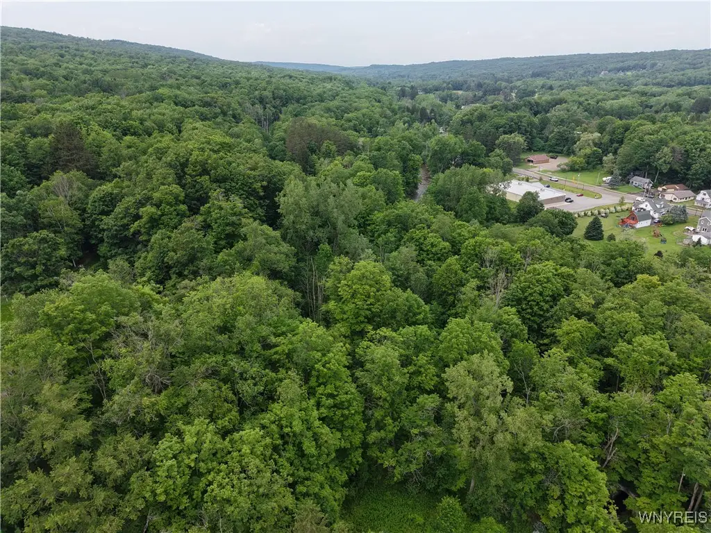 8762 Lower East Hill Road, Colden, NY 14033 - Image #1